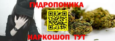 spice Кизилюрт
